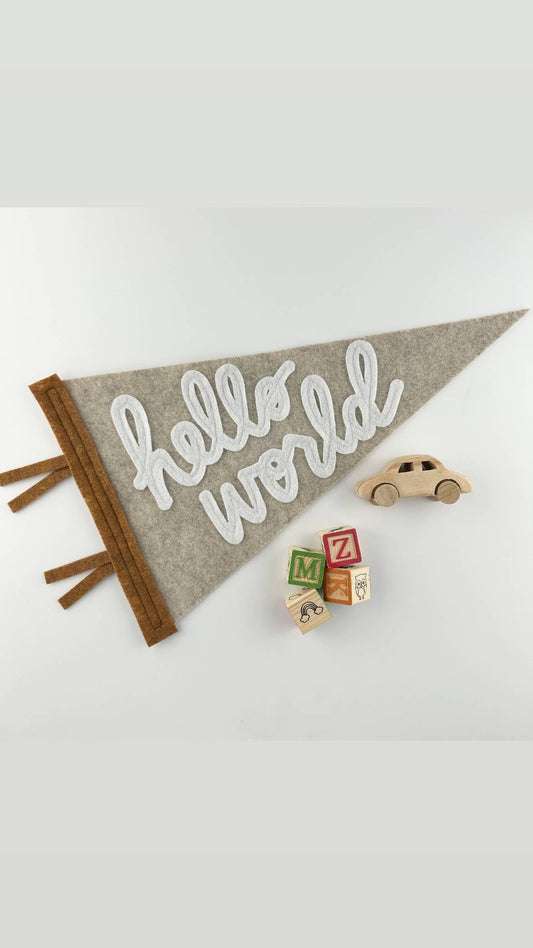 “hello world"  felt pennant