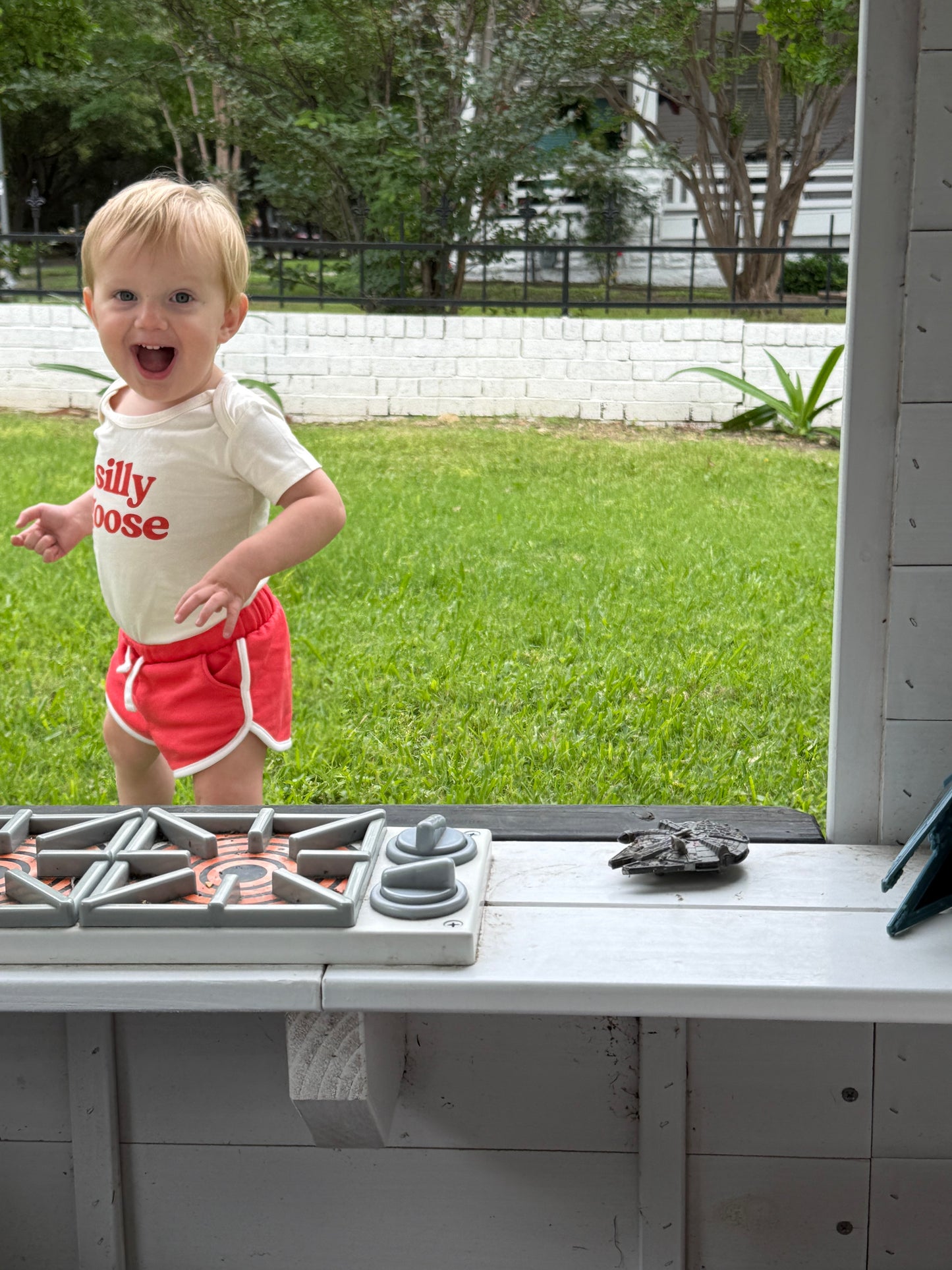 Silly Goose Baby Onesie by Polished Prints