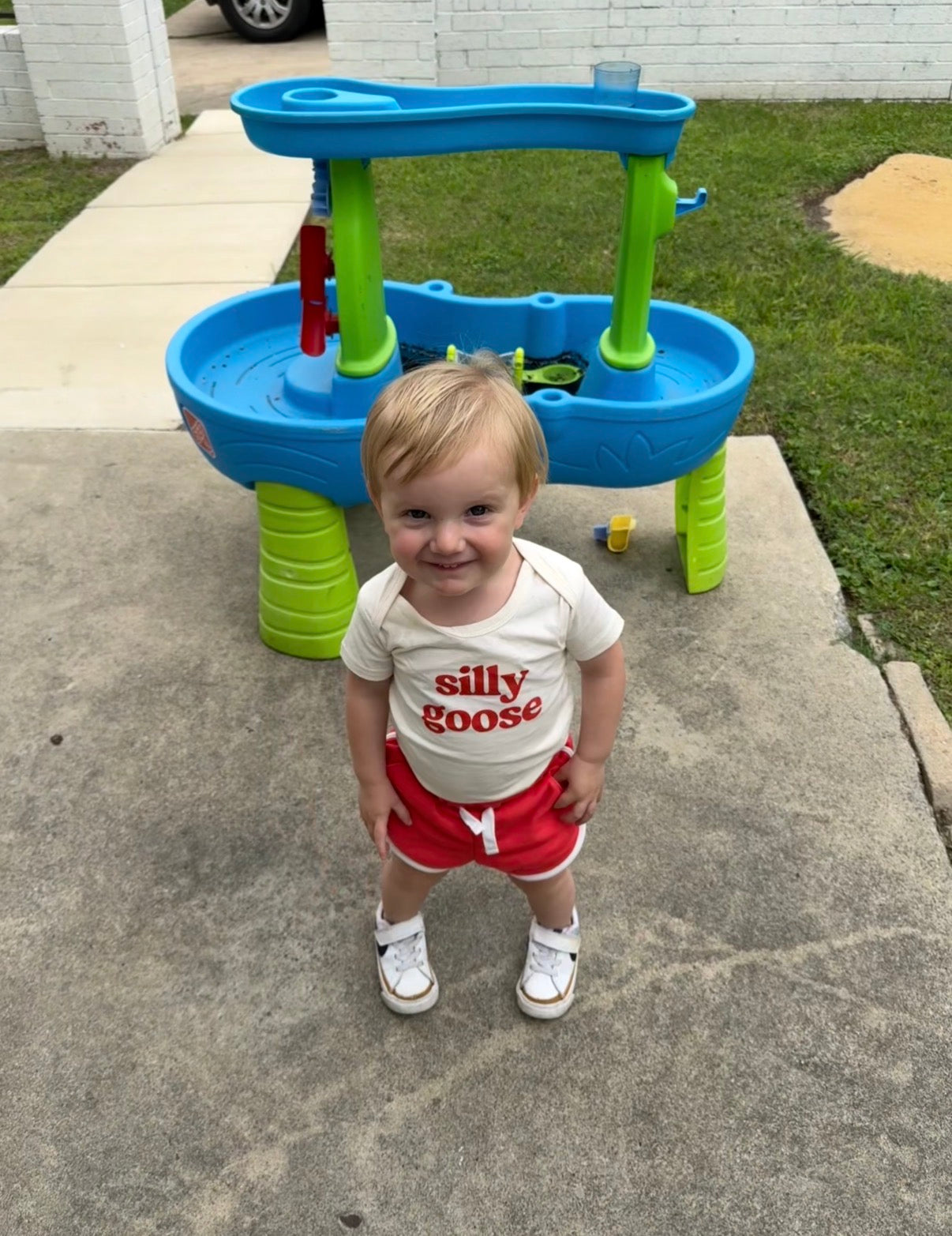 Silly Goose Baby Onesie by Polished Prints