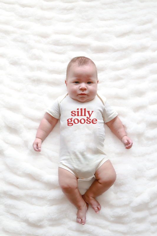 PREORDER-Silly Goose Baby Onesie by Polished Prints, Ships by April 10th